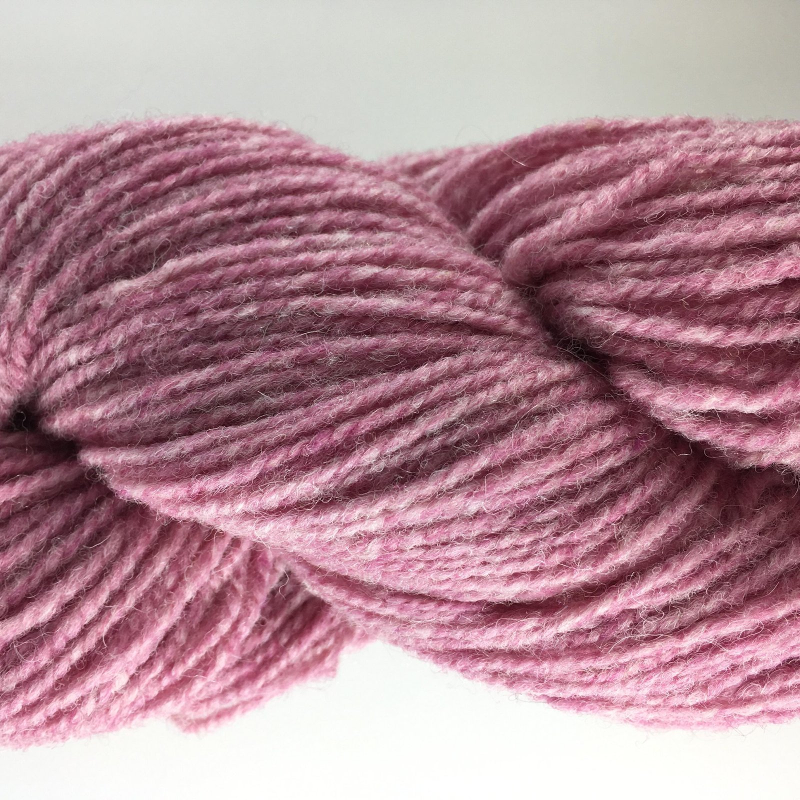 Briar Rose